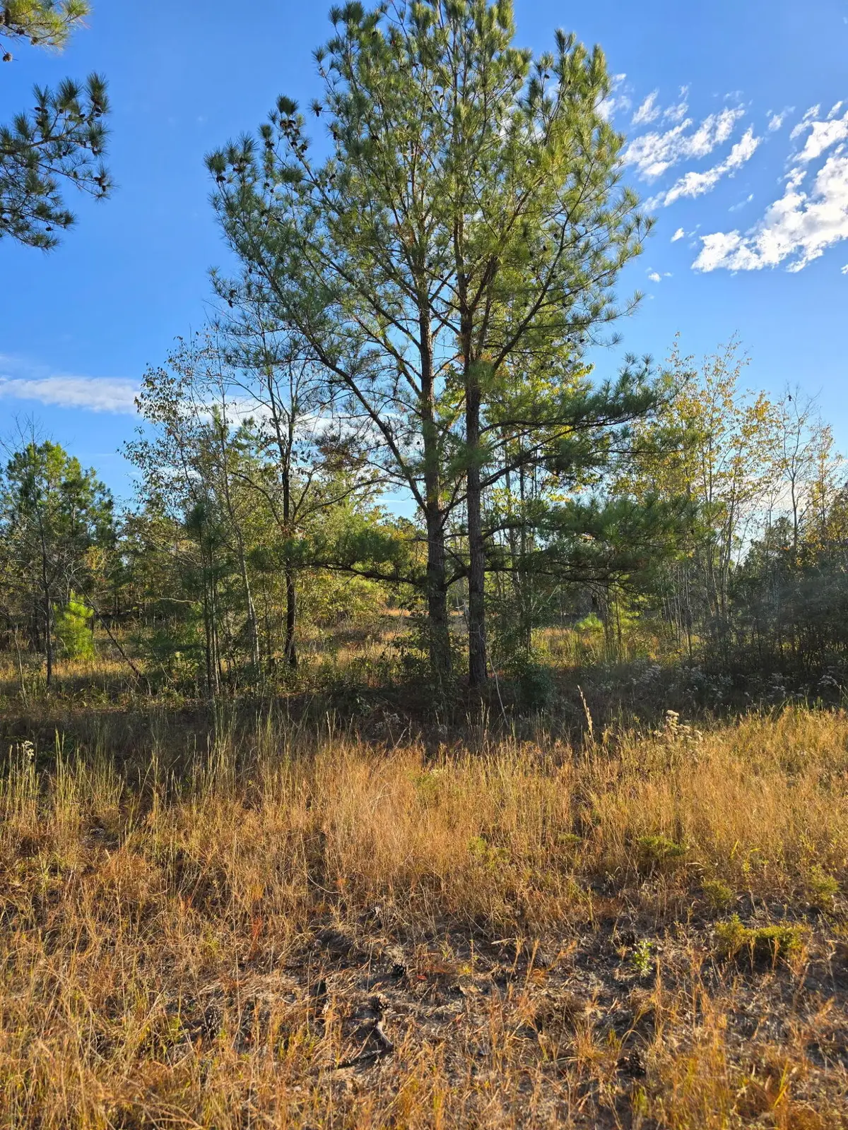 Tbd Hamilton Branch Way, Aiken, SC 29803 - Image #1