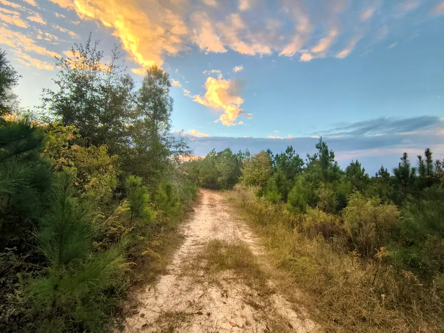 2427 B Wire Road, Aiken, SC 29805 - Image #3