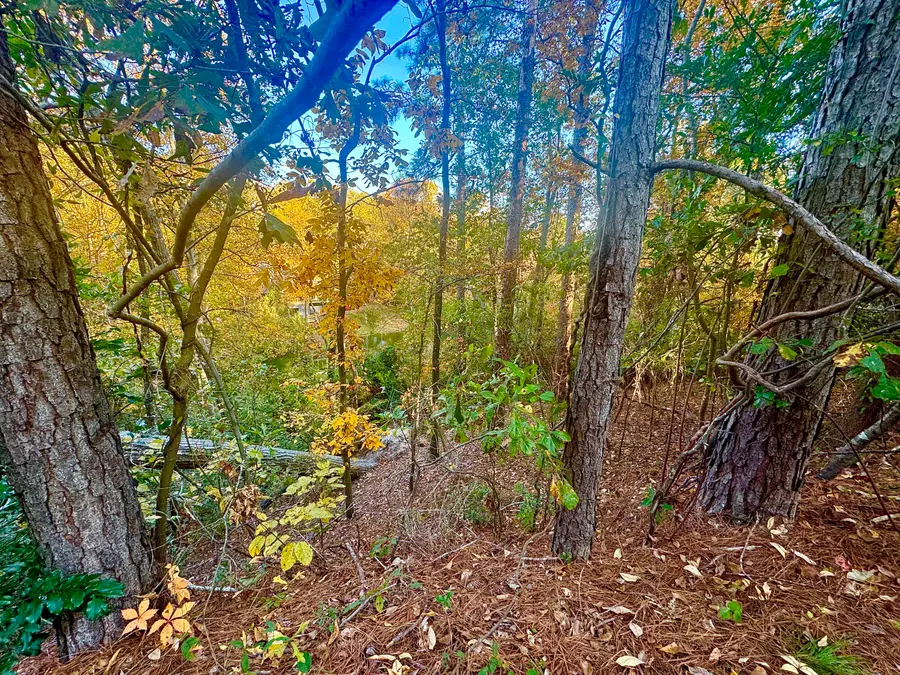 134 Springwood Drive, Aiken, SC 29803 - Image #2