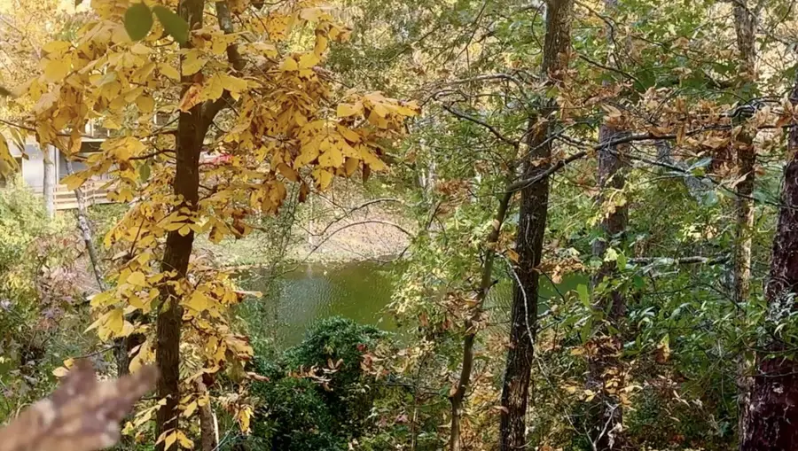 134 Springwood Drive, Aiken, SC 29803 - Image #3