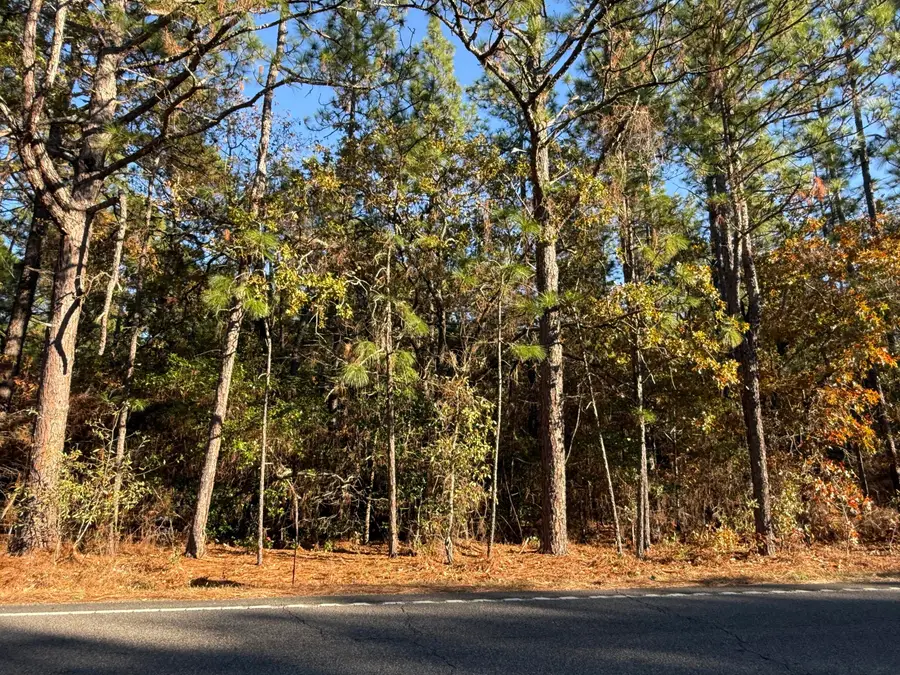 11.06 Acre State Park Road, Windsor, SC 29856 - Image #3