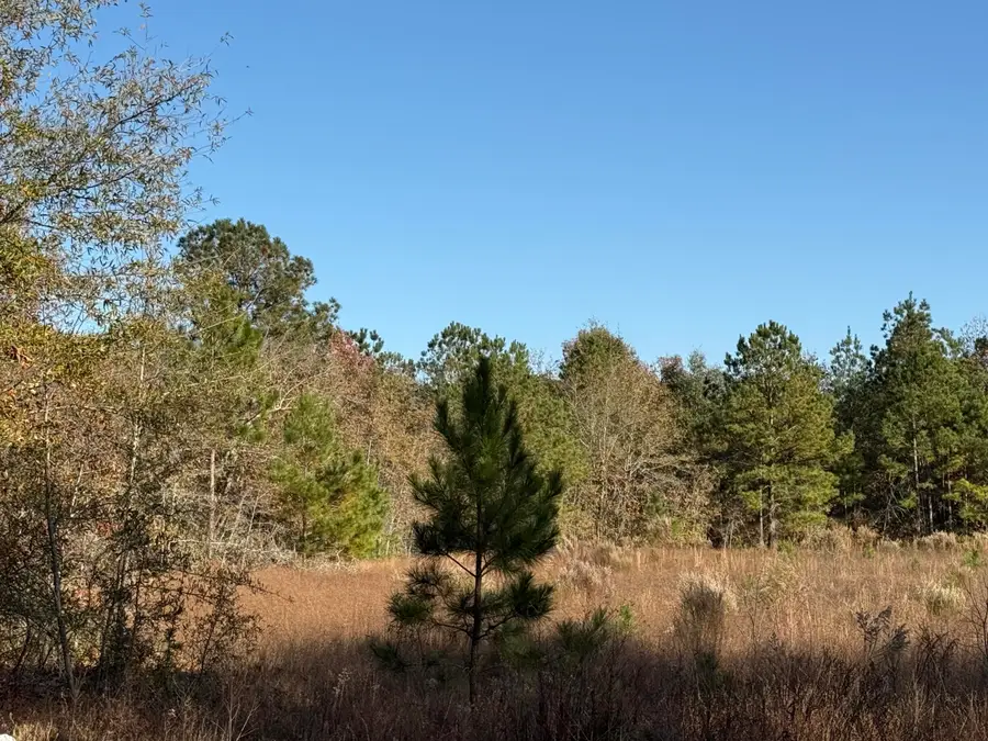 11.25 Acre State Park Road, Windsor, SC 29856 - Image #3