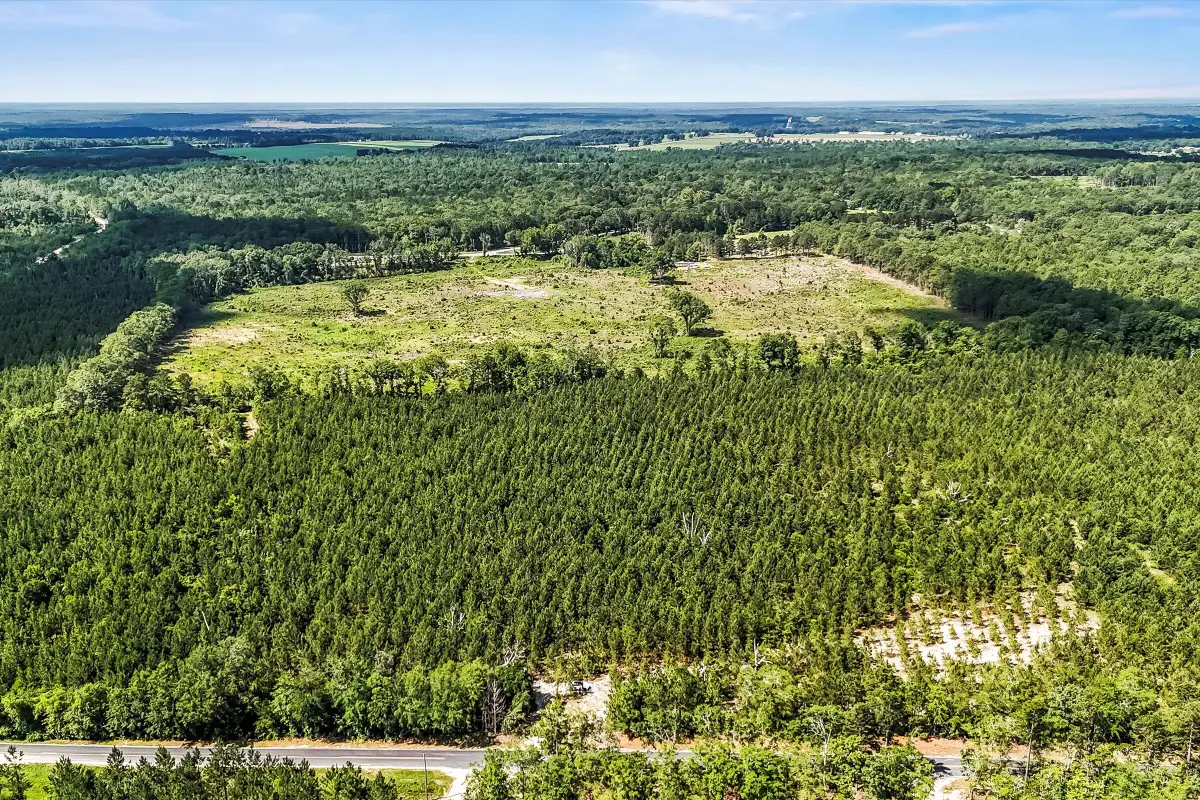 Lot 10 Old 96 Indian Trail, Wagener, SC 29164 - Image #1