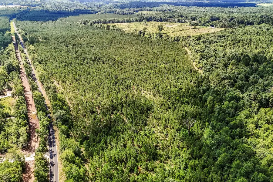 Lot 10 Old 96 Indian Trail, Wagener, SC 29164 - Image #2