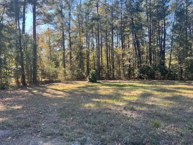 Tbd Hwy 78, Williston, SC 29853 - Image #2