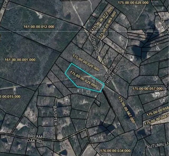 380 Windy Ridge Rd Road, Trenton, SC 29847 - Image #1