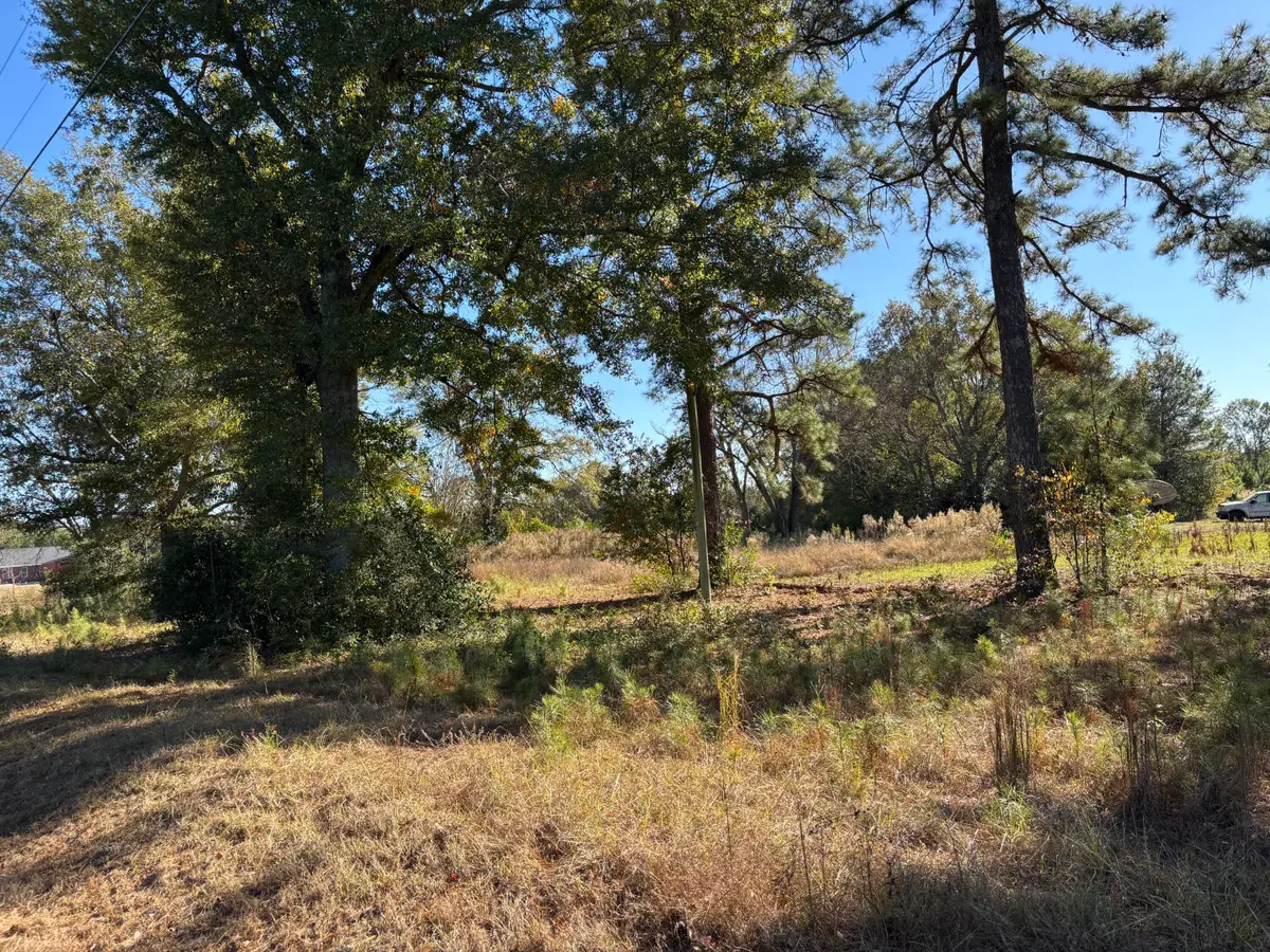 3058 Surrey Race Road, Springfield, SC 29146 - Image #1