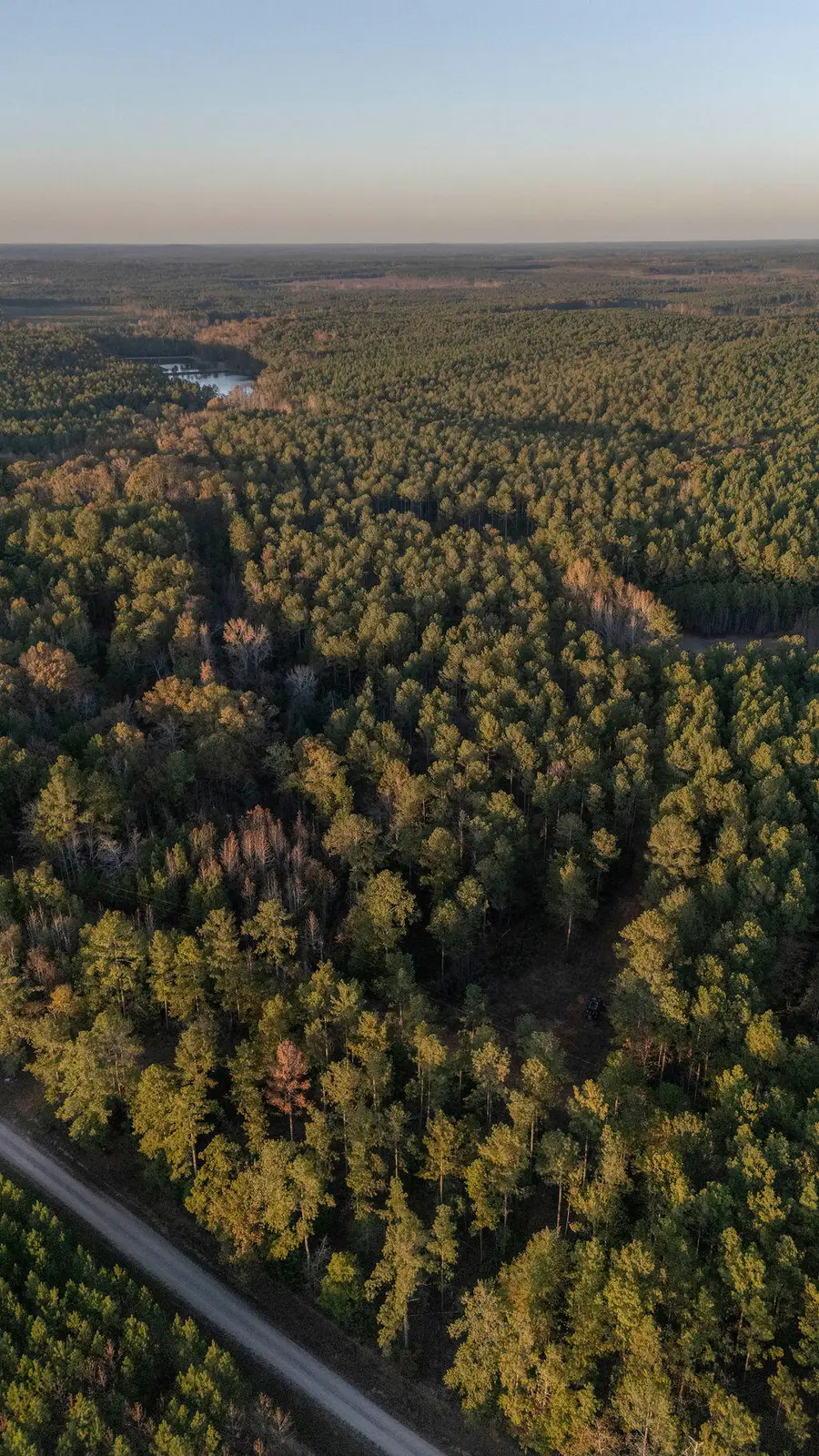 Tbd Barr Chapel Road, Edgefield, SC 29824 - Image #2