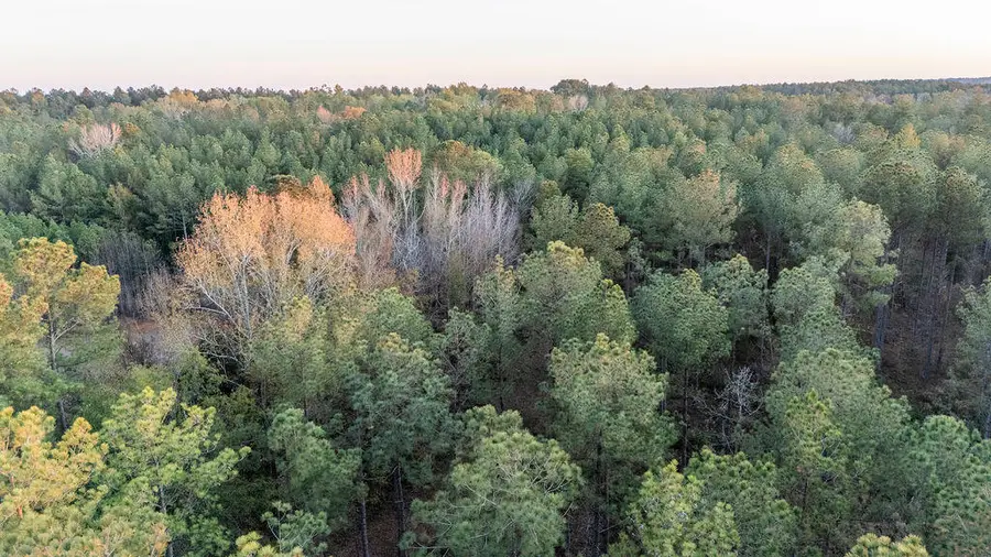 Tbd Barr Chapel Road, Edgefield, SC 29824 - Image #3