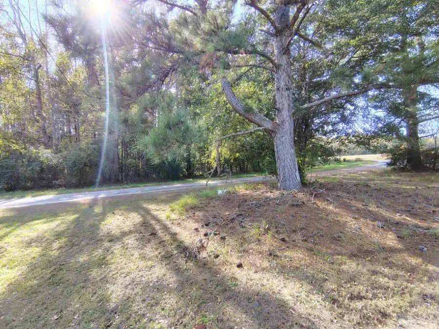 112 Tropicana Court, Orangeburg, SC 29118 - Image #2