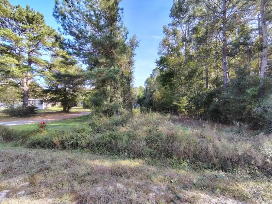 112 Tropicana Court, Orangeburg, SC 29118 - Image #3