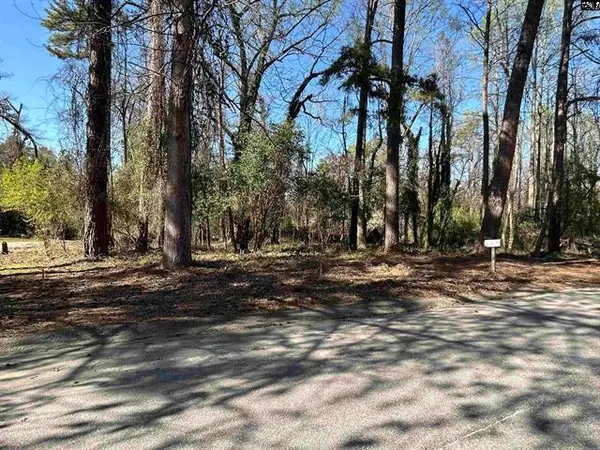 305 Bertha Ave, Lexington, SC 29072