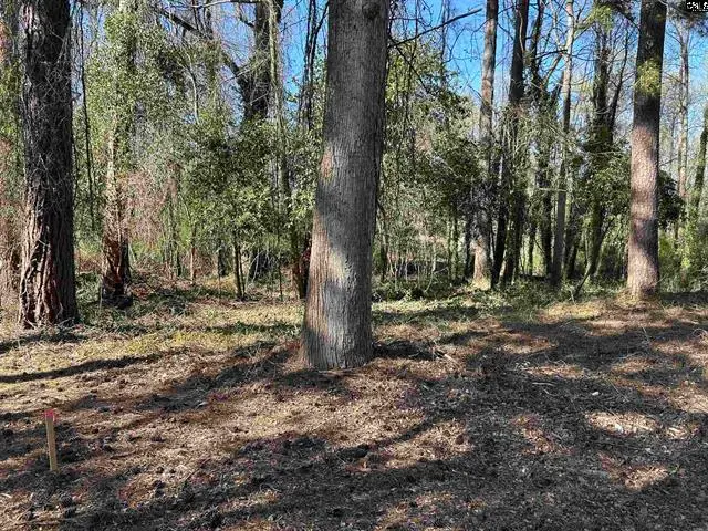 305 Bertha Ave, Lexington, SC 29072 - Image #2