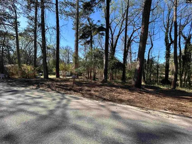 305 Bertha Ave, Lexington, SC 29072 - Image #3