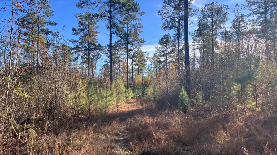 166 A Copper Pond Road, Salley, SC 29137 - Image #3