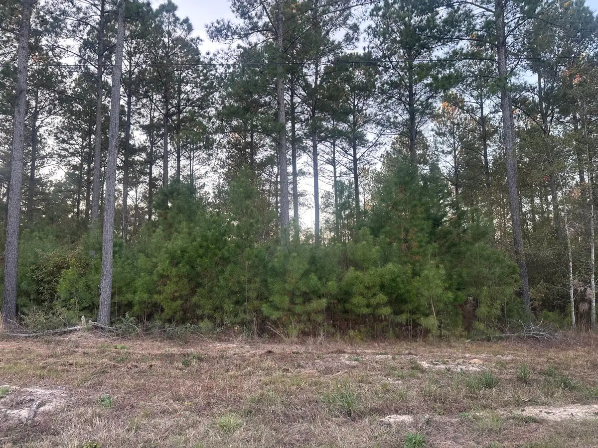 00 Blacks Road, Williston, SC 29853 - Image #1