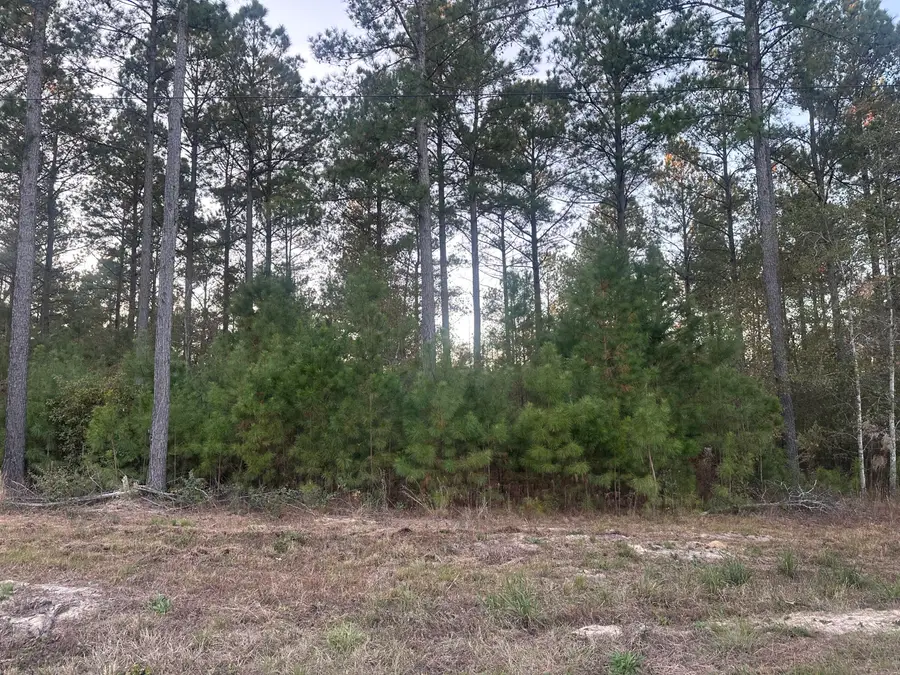 00 Blacks Road, Williston, SC 29853 - Image #2