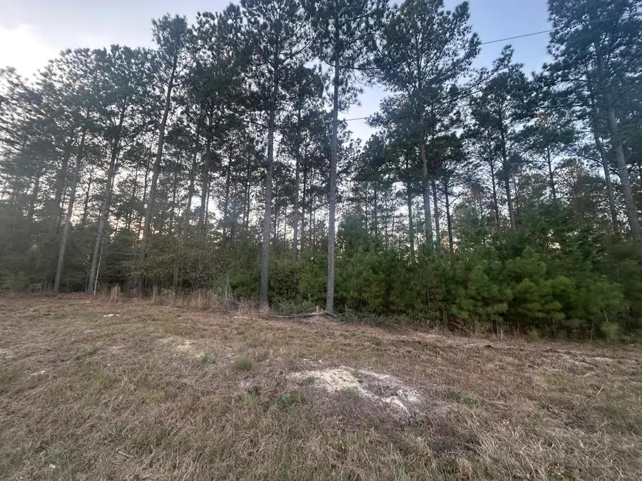 00 Blacks Road, Williston, SC 29853 - Image #3