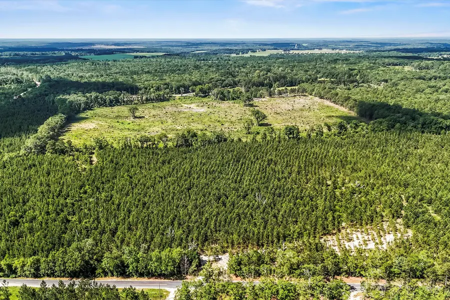 Lot 2 Mt Beulah Road, Windsor, SC 29856 - Image #2