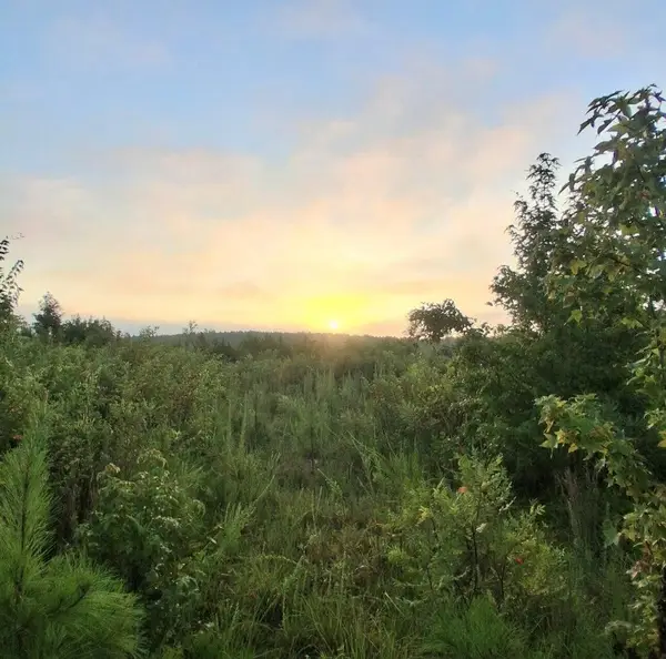 30a Bowie Road, Troy, SC 29848