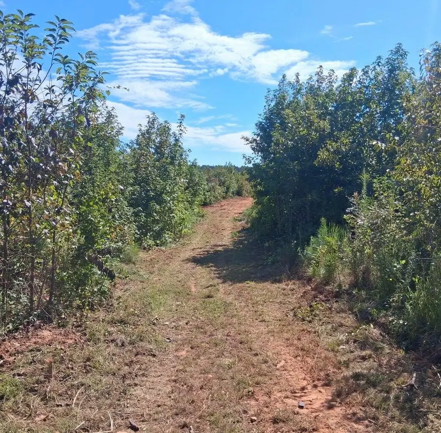 30a Bowie Road, Troy, SC 29848 - Image #3