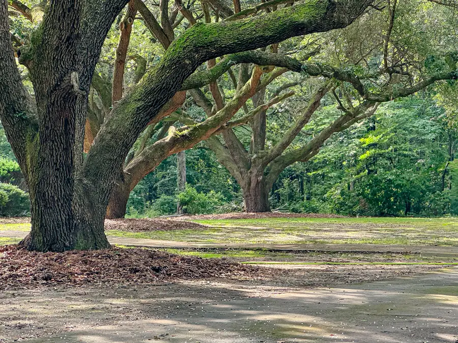 4446 Char Augusta Road, Bamberg, SC 29003 - Image #3