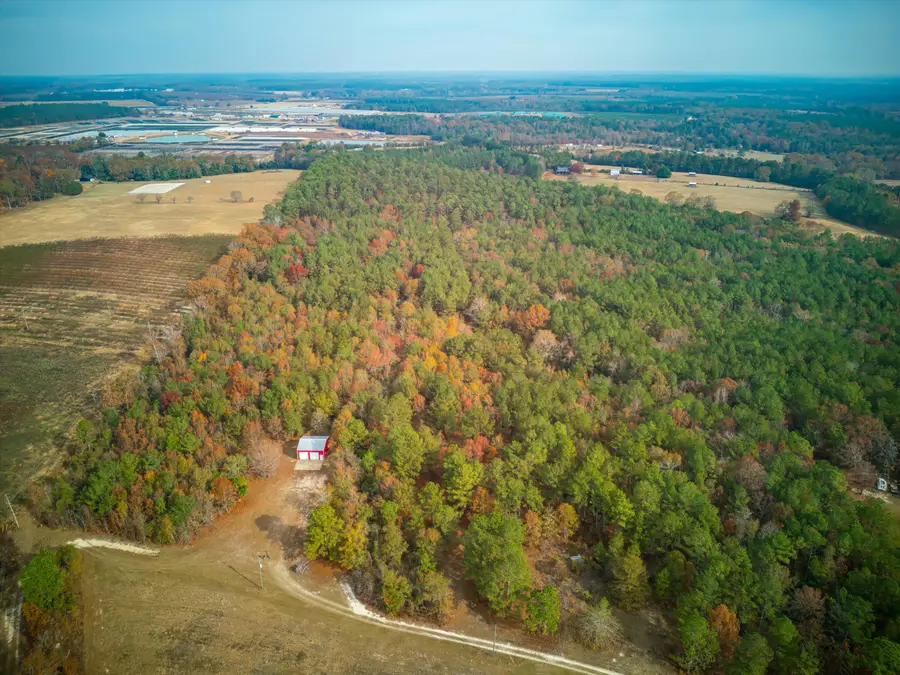 0 Windy Ridge Road, Trenton, SC 29847 - Image #3