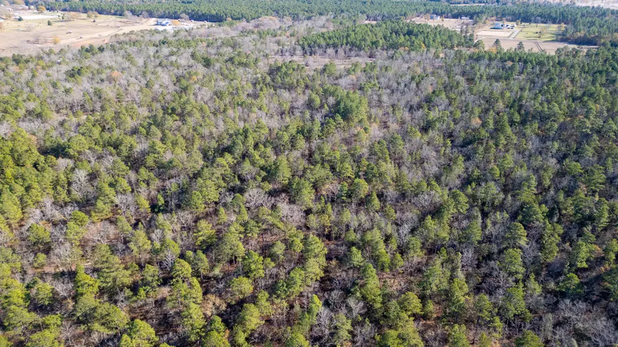 1424 Hatchaway Bridge Road, Aiken, SC 29801 - Image #3