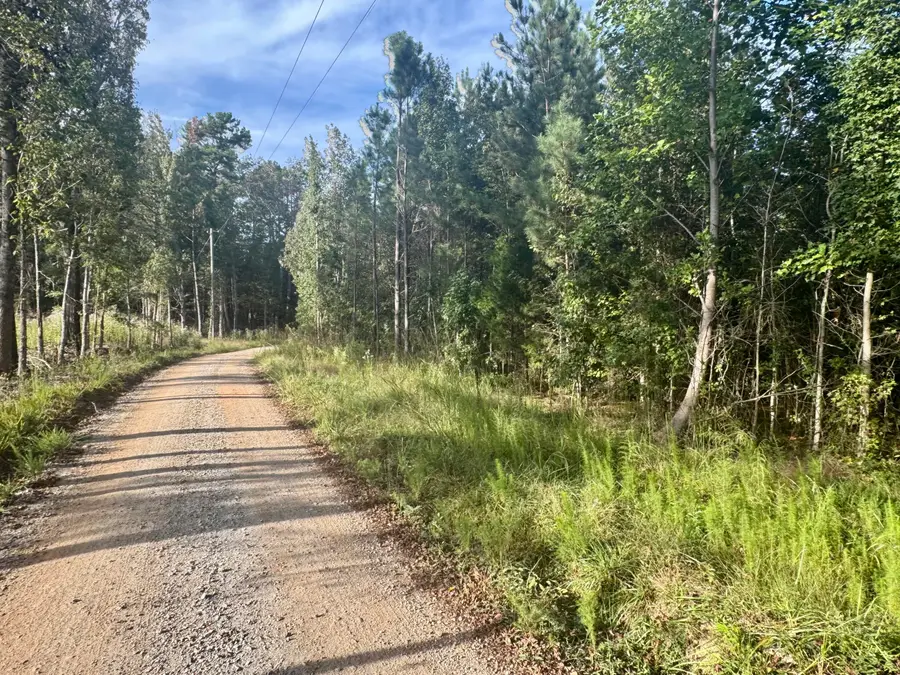 0 Matt Long Road, Donalds, SC 29638 - #2