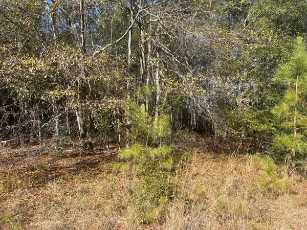 0 Off Fairway Drive, New Ellenton, SC 29809