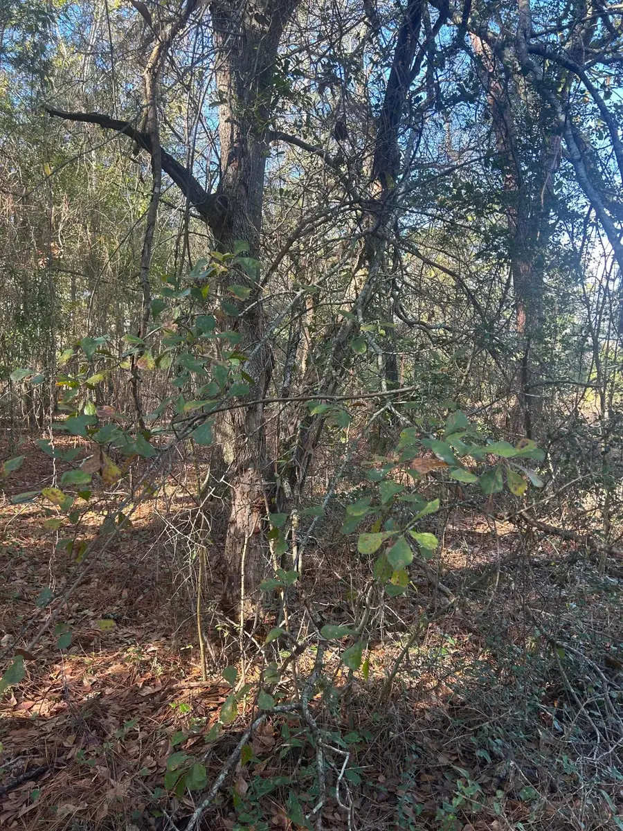 0 Off Fairway Drive, New Ellenton, SC 29809 - Image #3