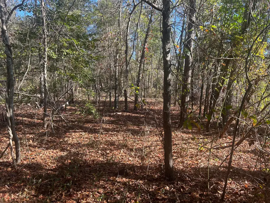 00 Off Fairway Drive, New Ellenton, SC 29809 - Image #2