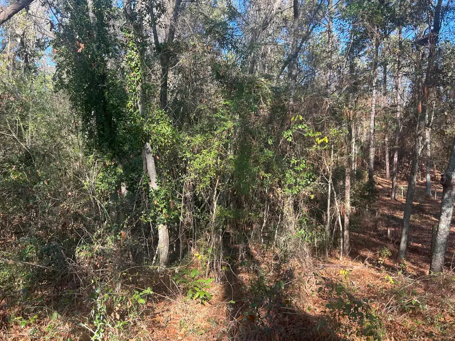 00 Off Fairway Drive, New Ellenton, SC 29809 - Image #3