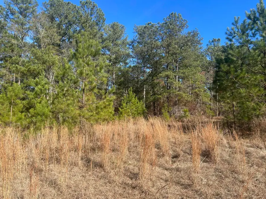 000 Off Fairway Drive, New Ellenton, SC 29809 - Image #2