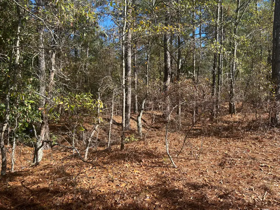 000 Off Fairway Drive, New Ellenton, SC 29809 - Image #3