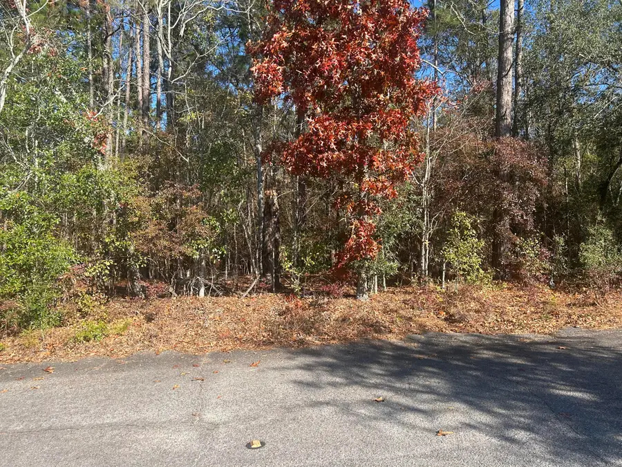 0000 Fairway Drive, New Ellenton, SC 29809 - Image #2