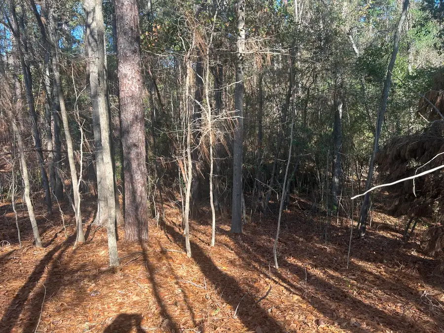 0000 Fairway Drive, New Ellenton, SC 29809 - Image #3