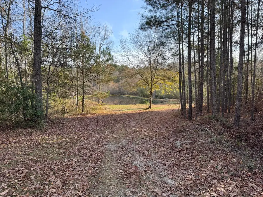 81 Murrell Road, Trenton, SC 29847 - Image #3