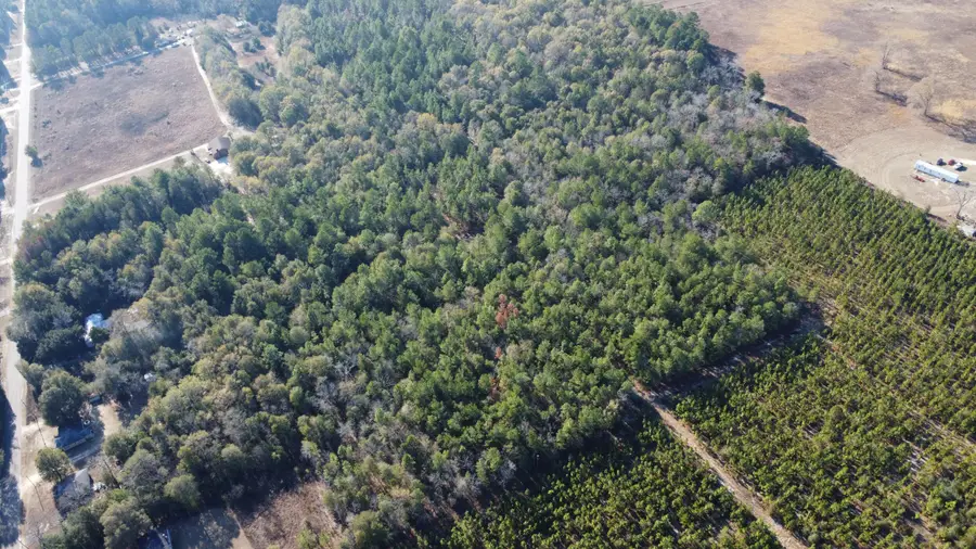 00 Jeffcoat Road, Wagener, SC 29164 - Image #3