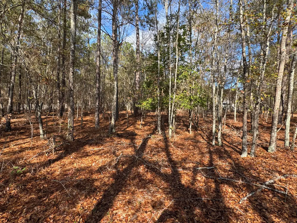 Lot 123 Ravenglass Court, Aiken, SC 29803 - Image #1