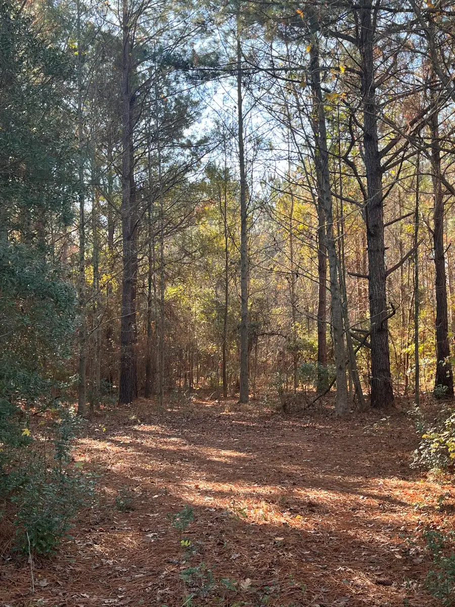 000 Trecer Road, Cope, SC 29038 - Image #3