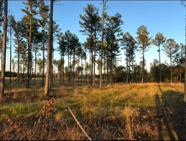 00/Lot 48 Snipes Pond Road, Aiken, SC 29805