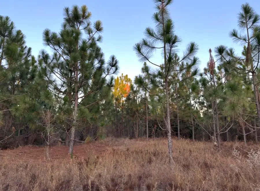 00/Lot 36 Ranchero Road, Aiken, SC 29805 - Image #2