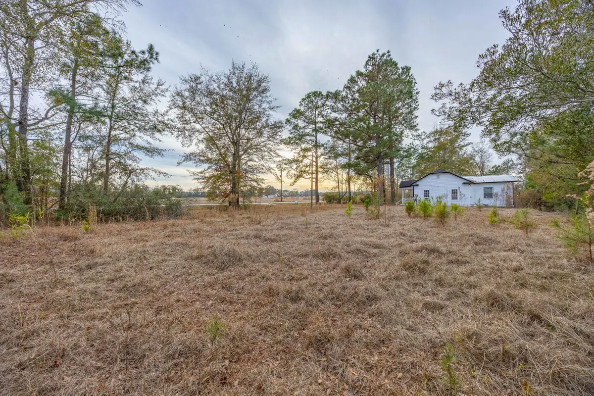 0 Floyd Page Road, Galivants Ferry, SC 29544 - Image #1