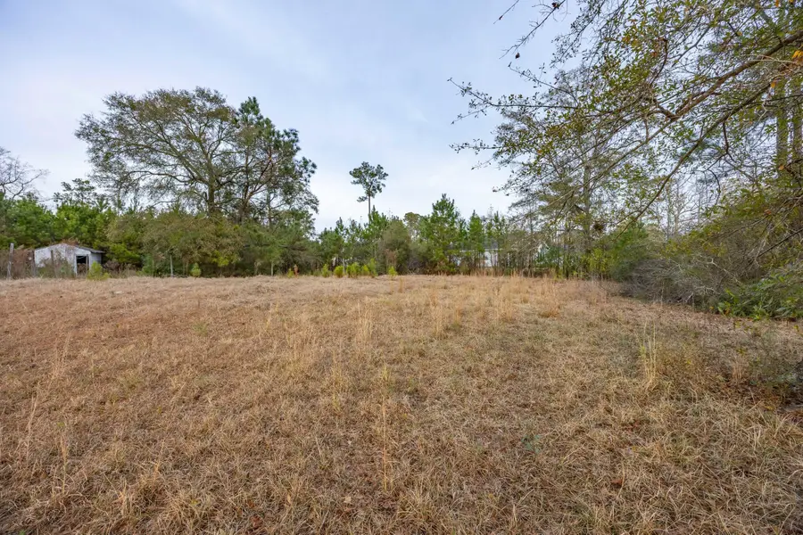 0 Floyd Page Road, Galivants Ferry, SC 29544 - Image #2