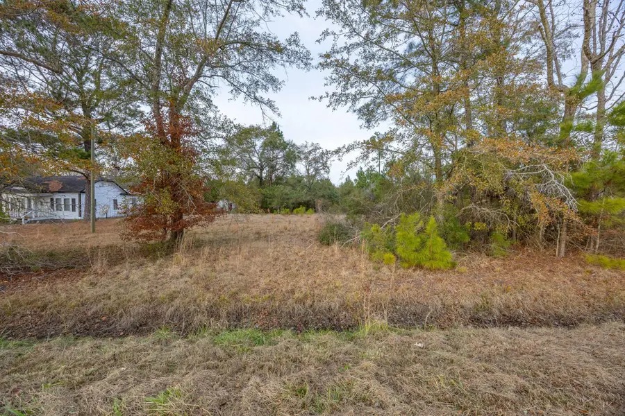 0 Floyd Page Road, Galivants Ferry, SC 29544 - Image #3