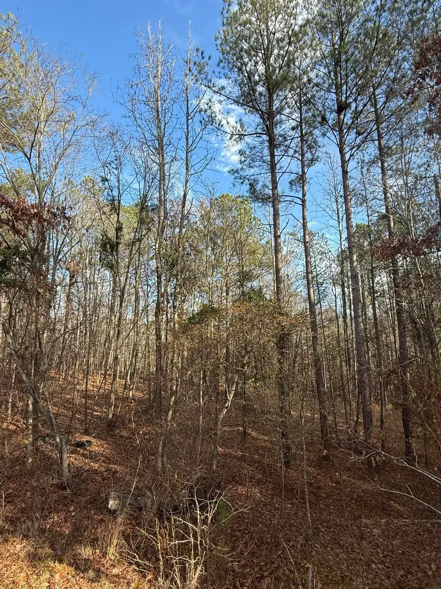 Lot A Sertoma Drive, Johnston, SC 29832 - Image #2