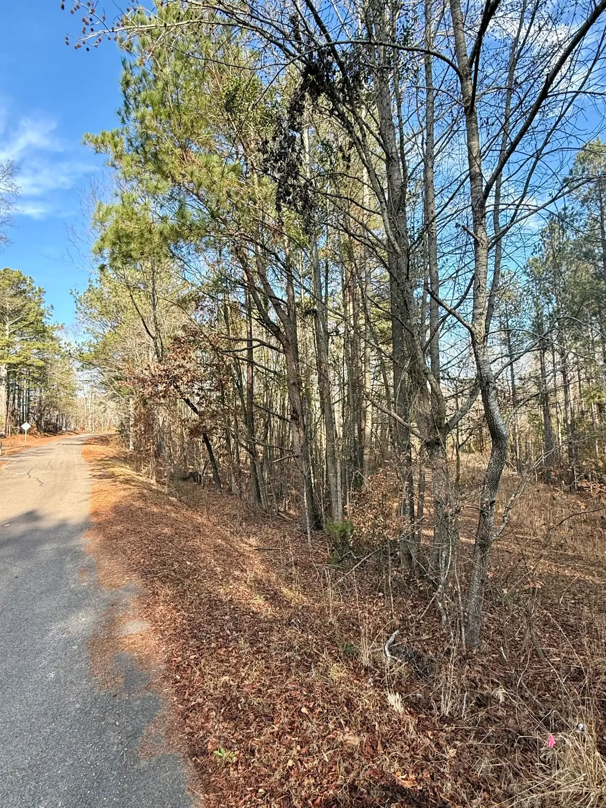Lot B Sertoma Drive, Johnston, SC 29832 - Image #1