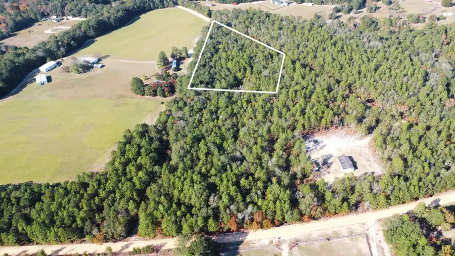 00 Tosha Lane #Lot B, Wagener, SC 29164 - Image #2
