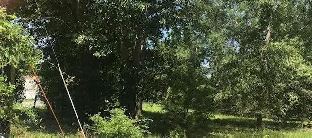 Tbd Sappling Road, Barnwell, SC 29812 - Image #1